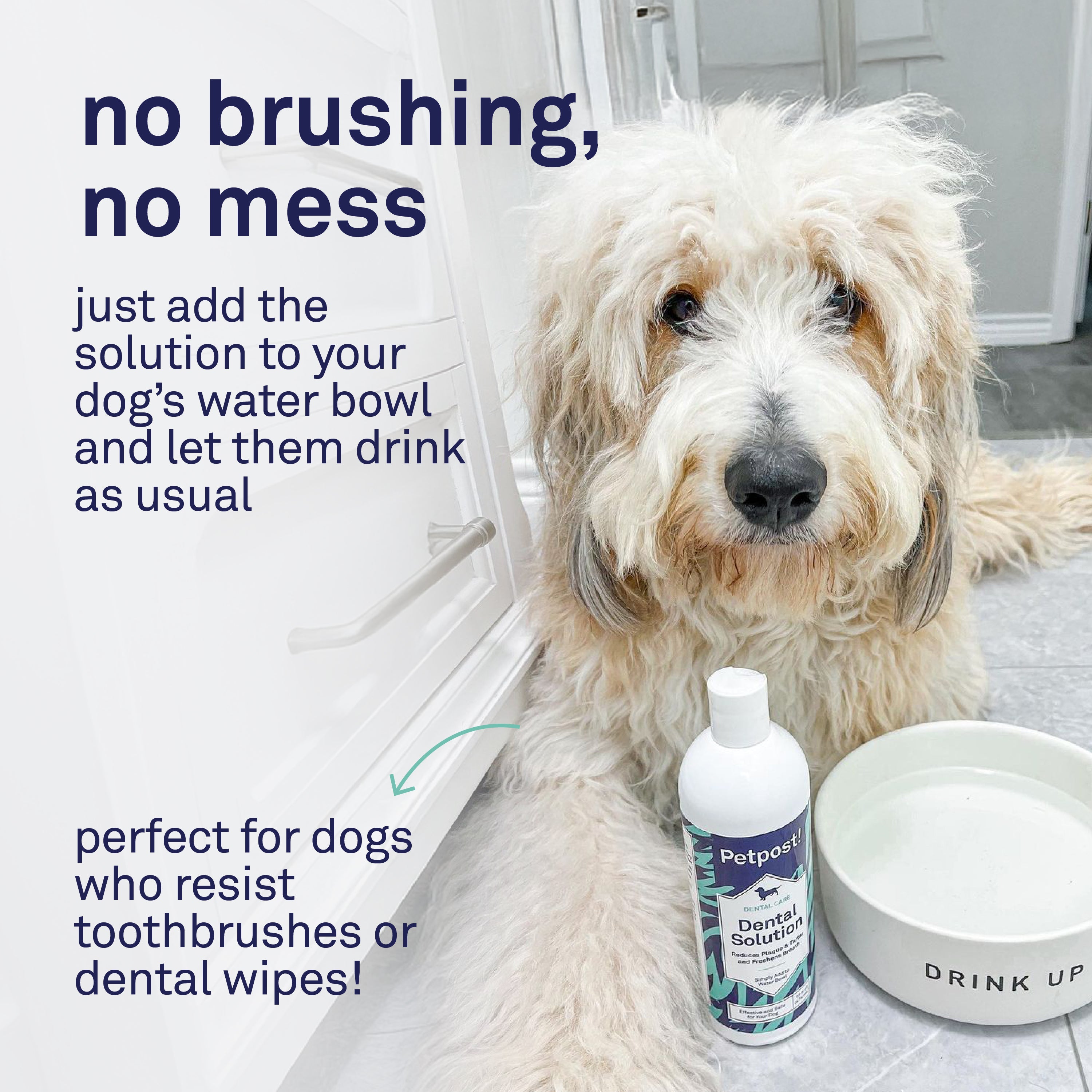 Petpost Dental Solution for Dogs - Water Additive for Bad Breath & Plaque - Apple, Peppermint & Spearmint - Brush-Free Daily Tooth Cleaning - 16 oz