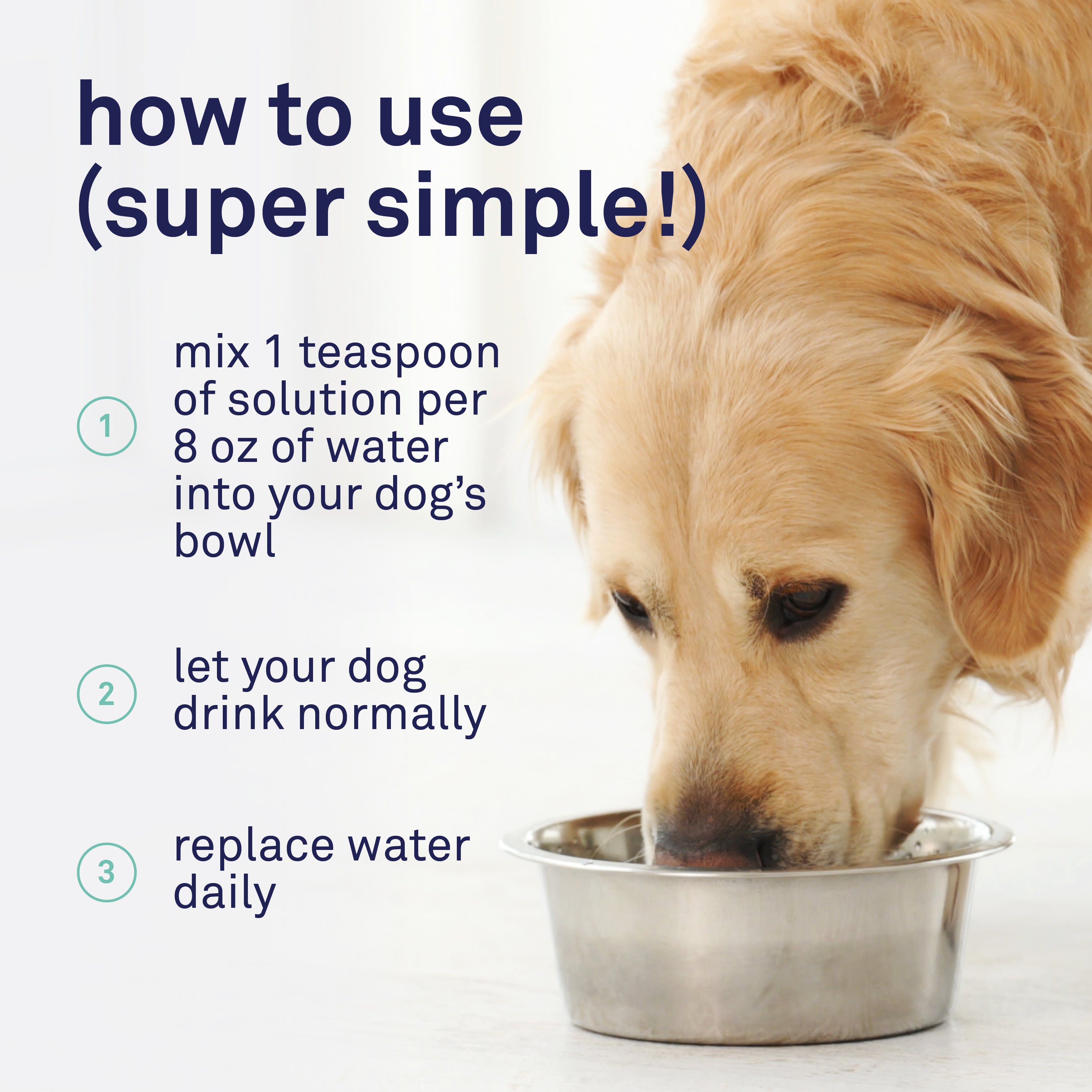 Petpost Dental Solution for Dogs - Water Additive for Bad Breath & Plaque - Apple, Peppermint & Spearmint - Brush-Free Daily Tooth Cleaning - 16 oz