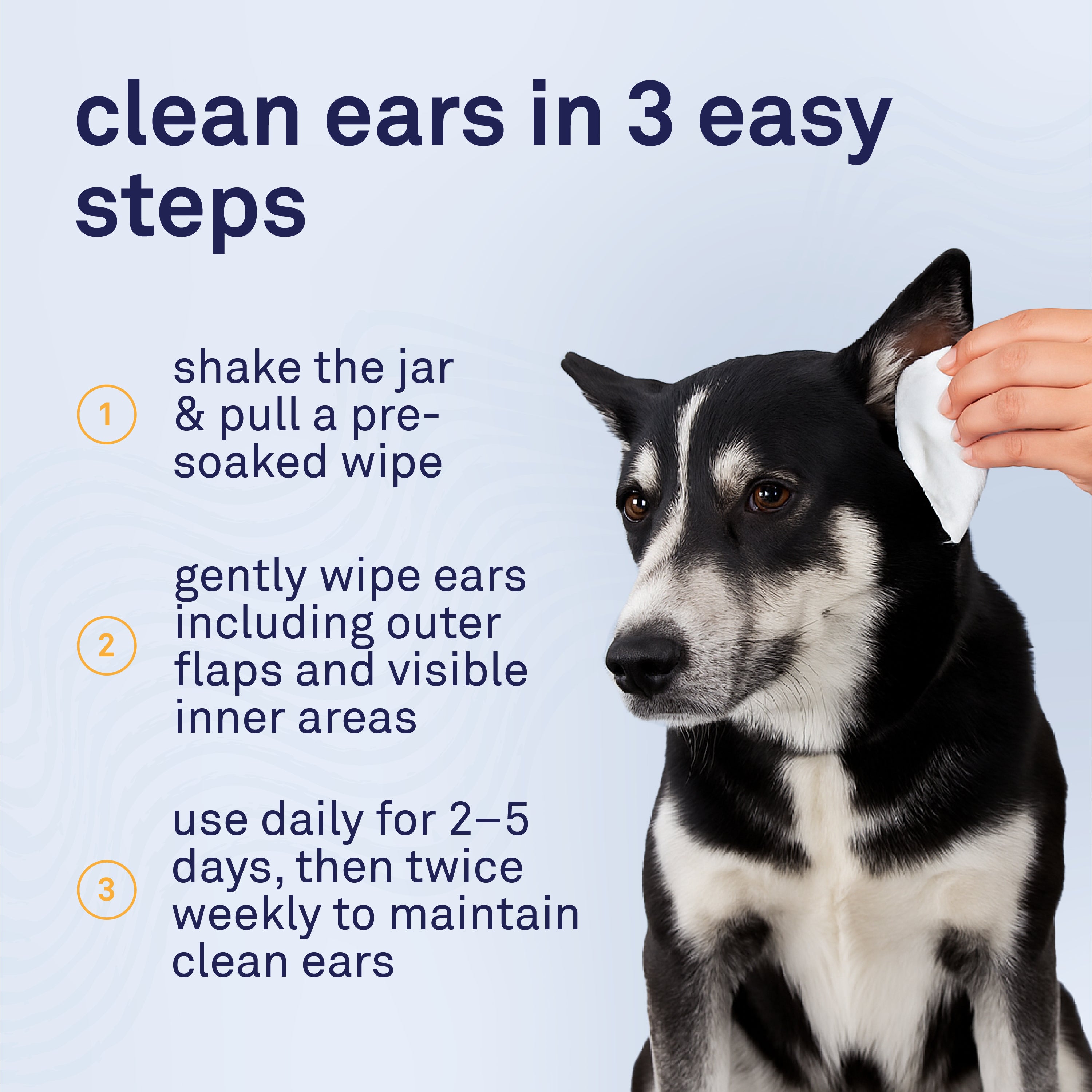 Petpost Large Dog Ear Cleaner Wipes - 60 XL Cotton Pads with Coconut Oil & Aloe Solution - Gentle Daily Cleanser for Wax, Dirt & Odor - Alcohol-Free, Vet-Approved