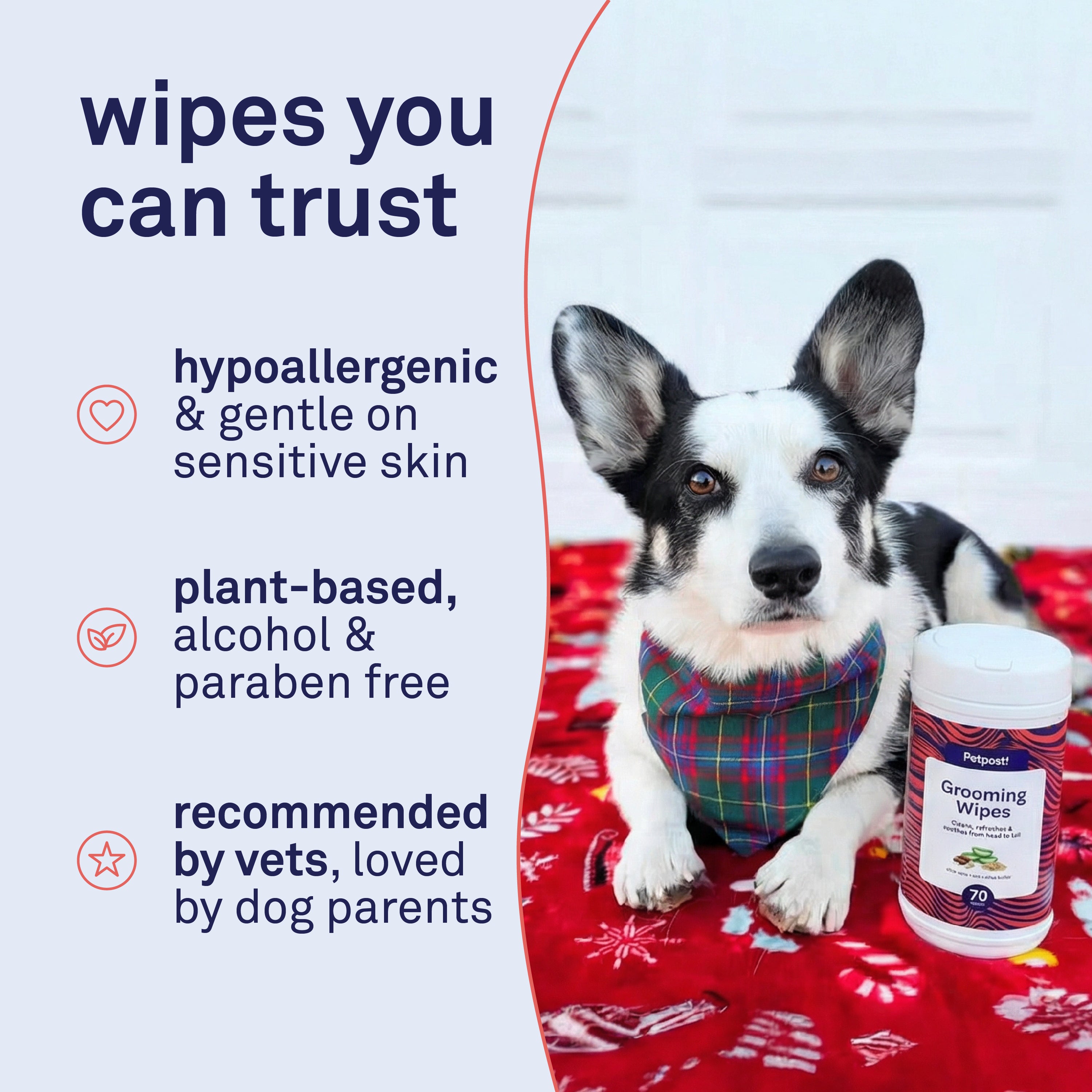 Petpost Grooming Wipes for Dogs - 70 Large Deodorizing Cotton Pads with Coconut Oil, Aloe & Cherry Blossom Scent - Gentle Full-Body Cleansing Wipes by Petpost for grooming dogs