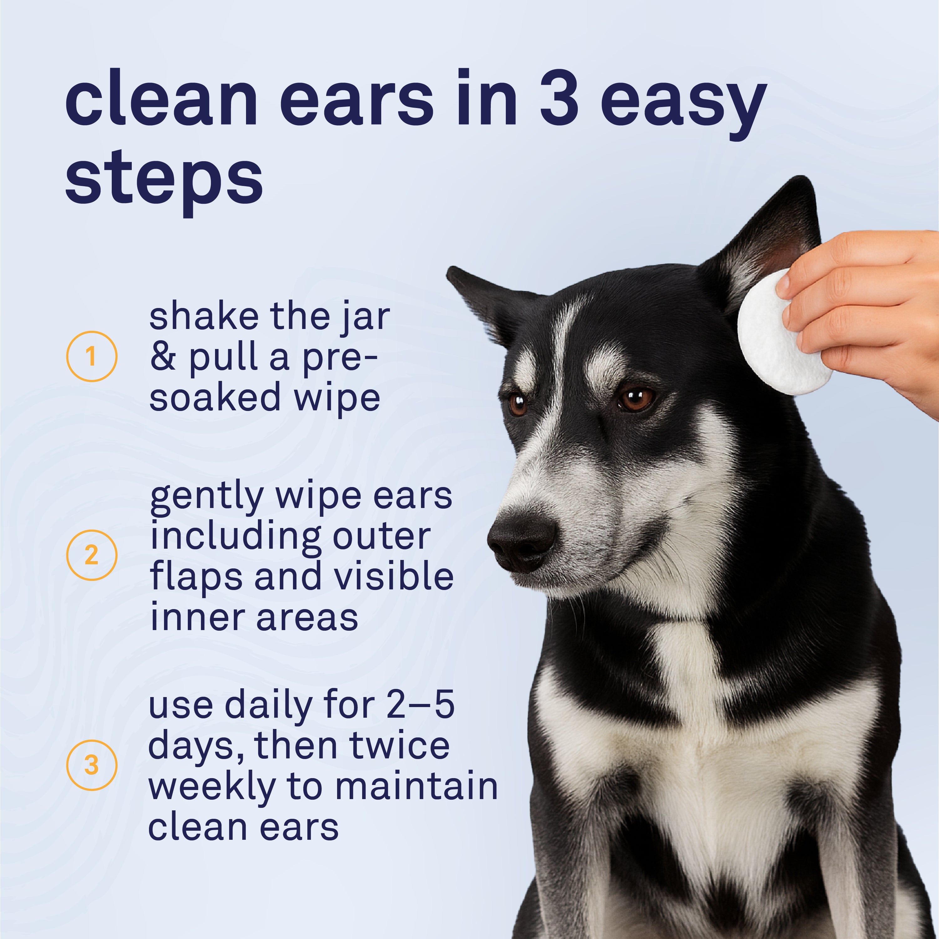 Petpost Dog Ear Cleaner Wipes - 100 Soft Cotton Pads with Coconut Oil & Aloe Solution - Alcohol-Free Daily Cleanser for Wax, Dirt & Odor - Safe for All Breeds