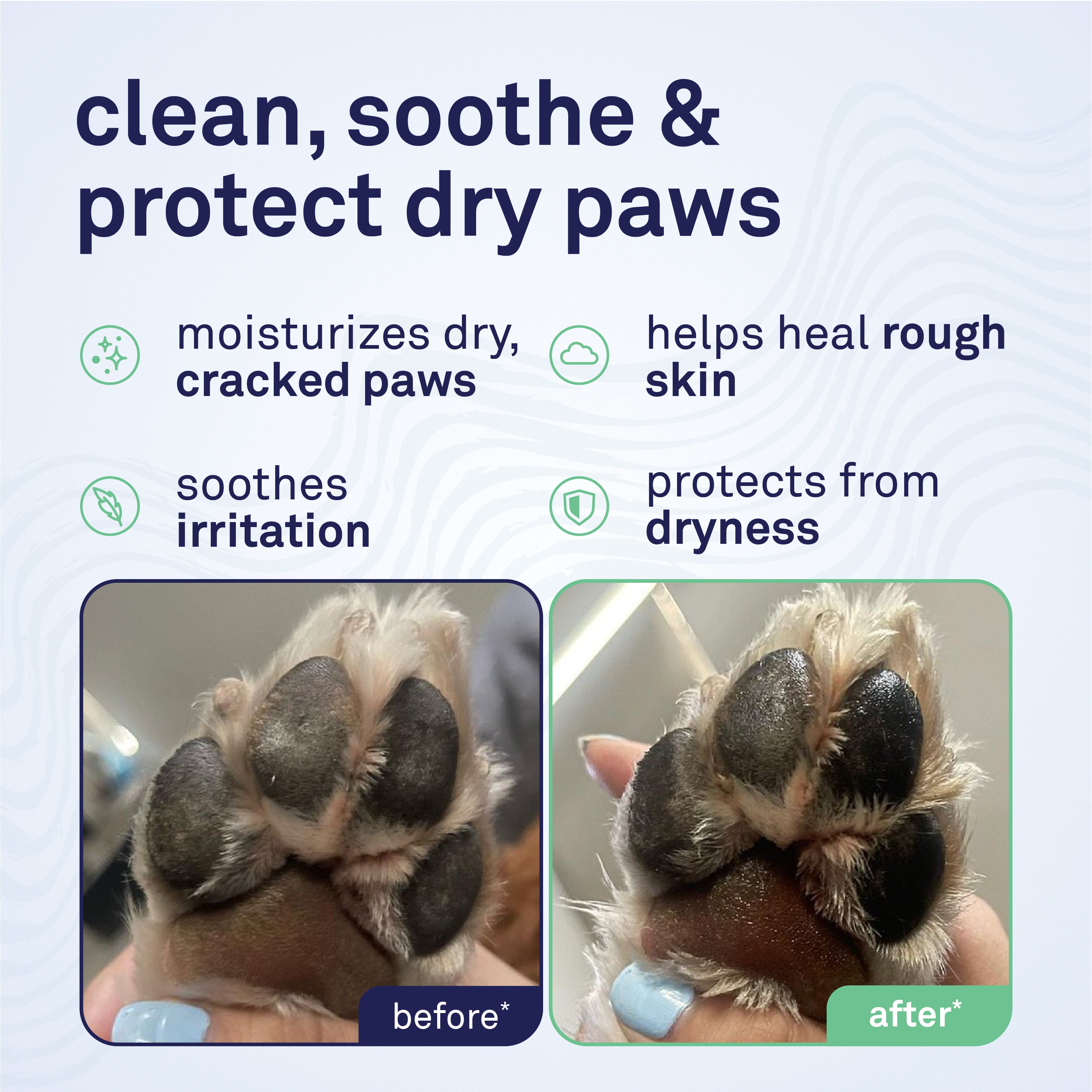 Petpost Paw Protection Wax for Dogs - Organic Sunflower Oil & Beeswax Balm - Protects Paws from Hot Pavement, Ice, Salt & Snow - Natural Alternative to Booties