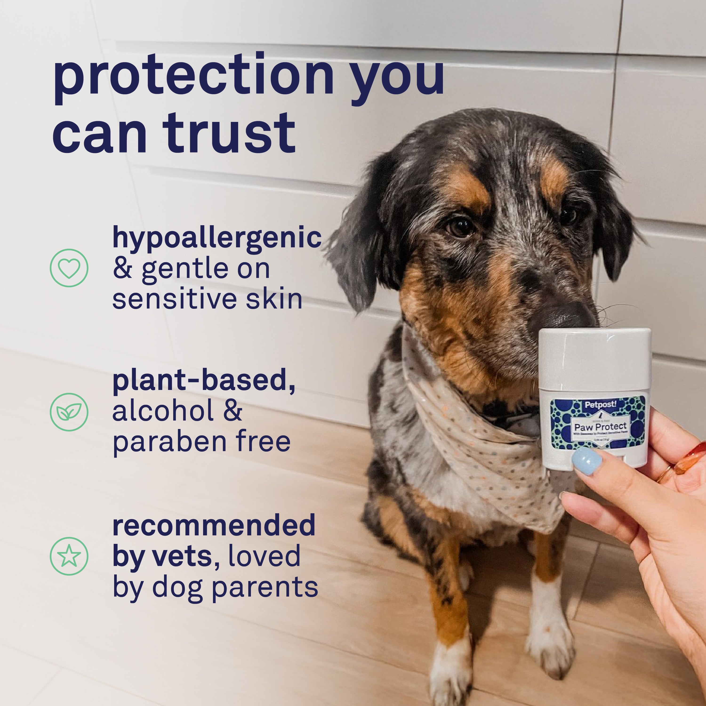 Petpost Paw Protection Wax for Dogs - Organic Sunflower Oil & Beeswax Balm - Protects Paws from Hot Pavement, Ice, Salt & Snow - Natural Alternative to Booties
