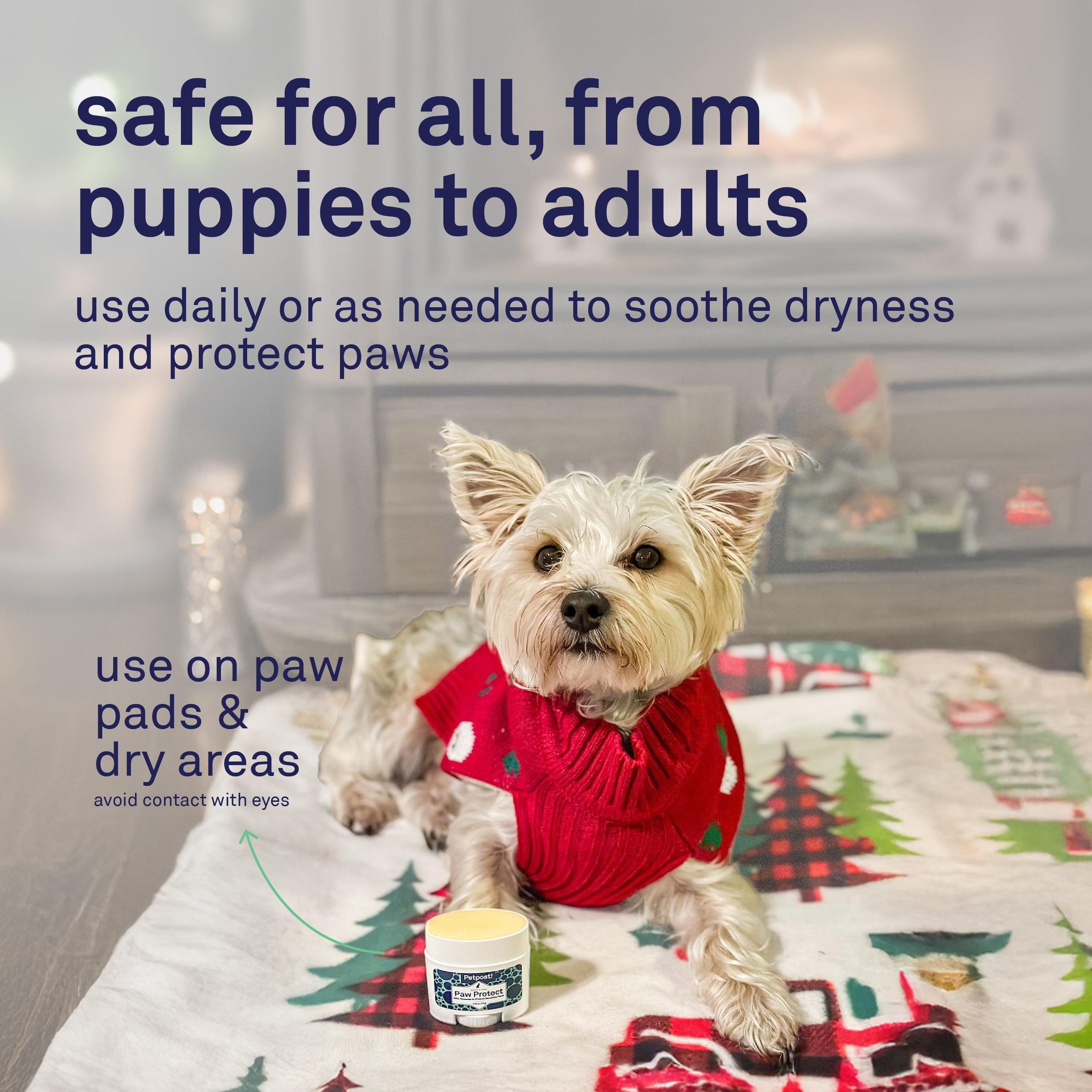 Petpost Paw Protection Wax for Dogs - Organic Sunflower Oil & Beeswax Balm - Protects Paws from Hot Pavement, Ice, Salt & Snow - Natural Alternative to Booties
