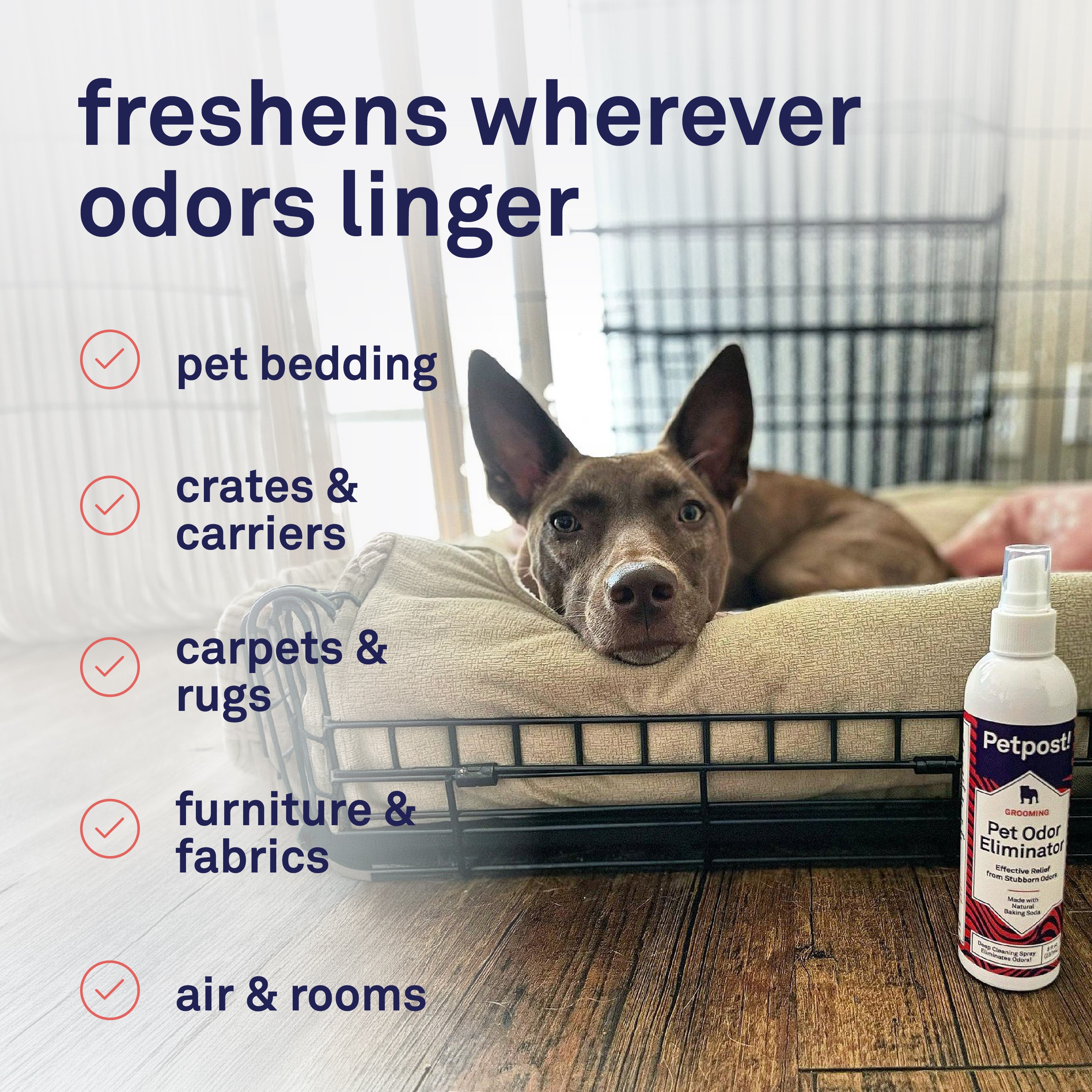 Petpost Pet Odor Eliminator Spray for Dogs & Cats - Natural Deodorizer for Pet & Home - Safe After-Bath Freshener for Beds, Furniture & Coats - 8 oz