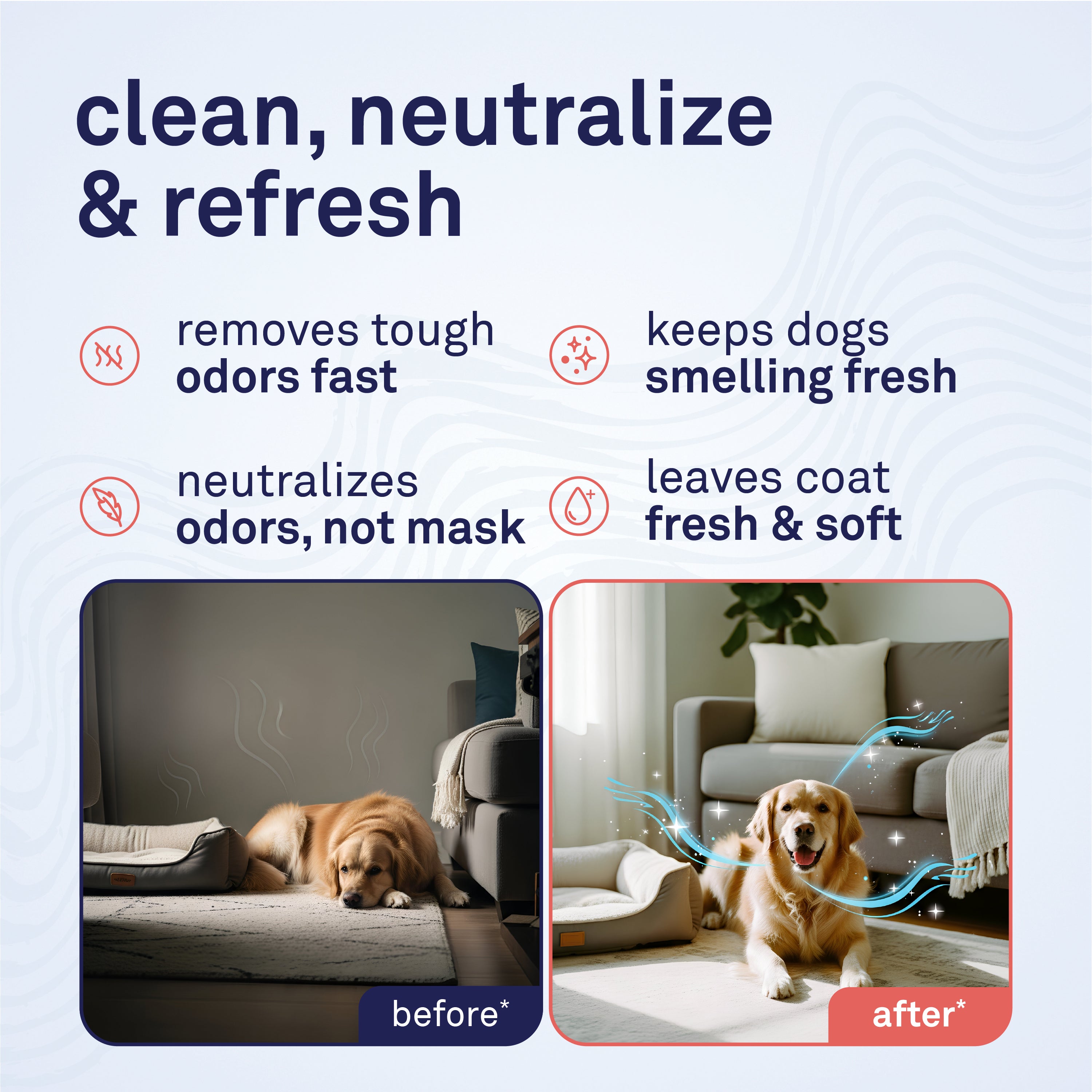 Petpost Pet Odor Eliminator Spray for Dogs & Cats - Natural Deodorizer for Pet & Home - Safe After-Bath Freshener for Beds, Furniture & Coats - 8 oz