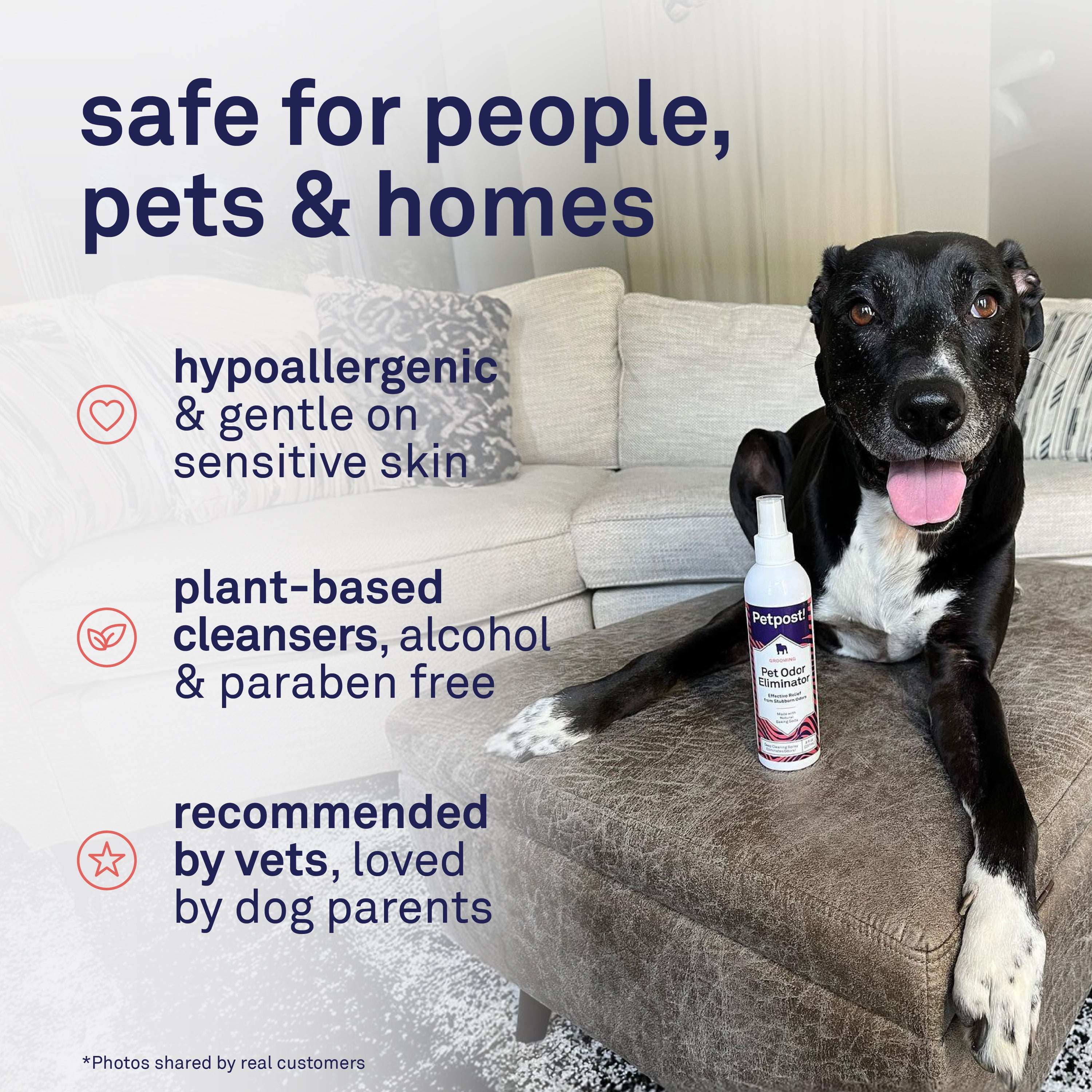 Petpost Pet Odor Eliminator Spray for Dogs & Cats - Natural Deodorizer for Pet & Home - Safe After-Bath Freshener for Beds, Furniture & Coats - 8 oz