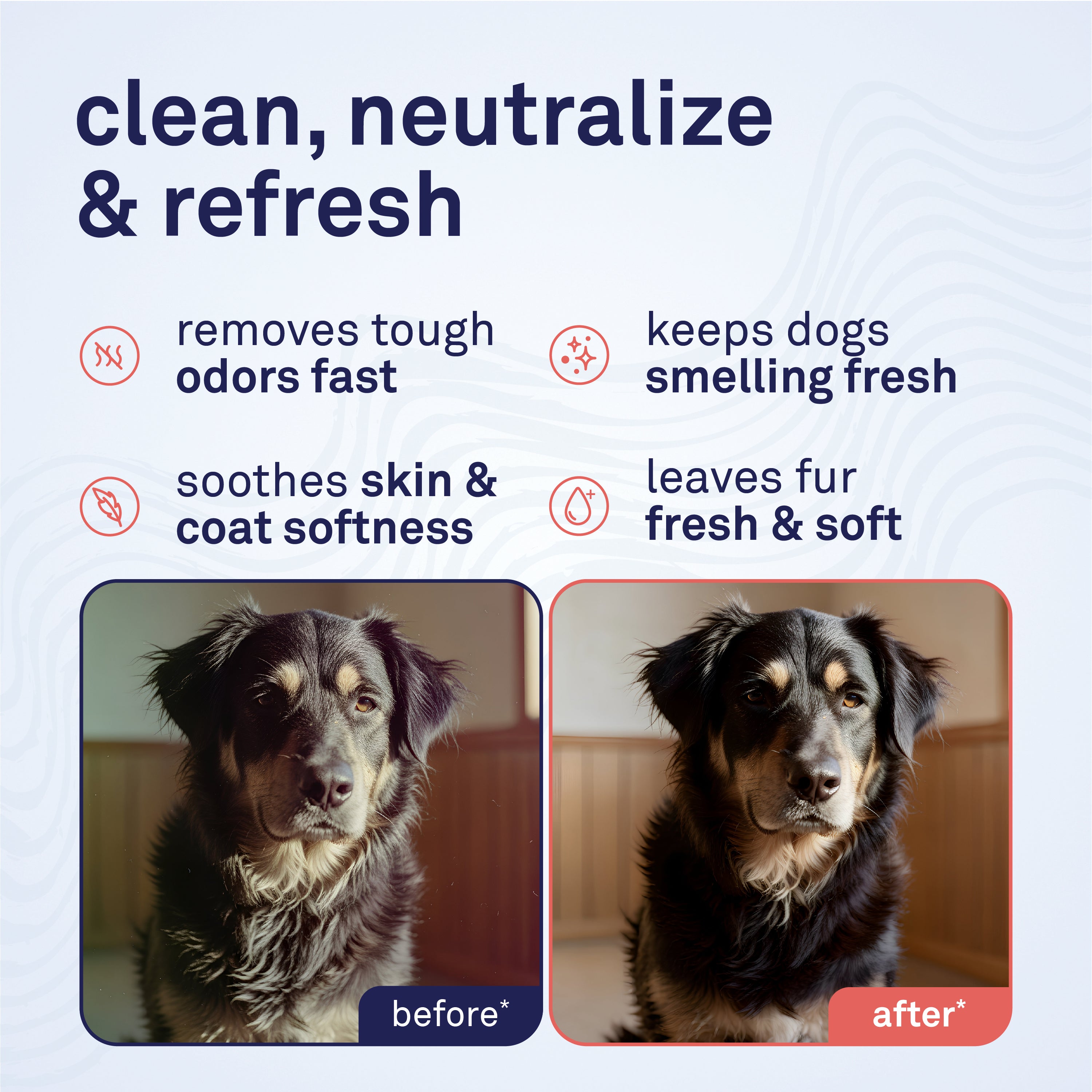 Petpost Skunk Odor Shampoo for Dogs & Cats - Natural Deodorizing Formula with Safflower Oil - Removes Skunk Spray, Eliminates Strong Odors - Gentle on Skin