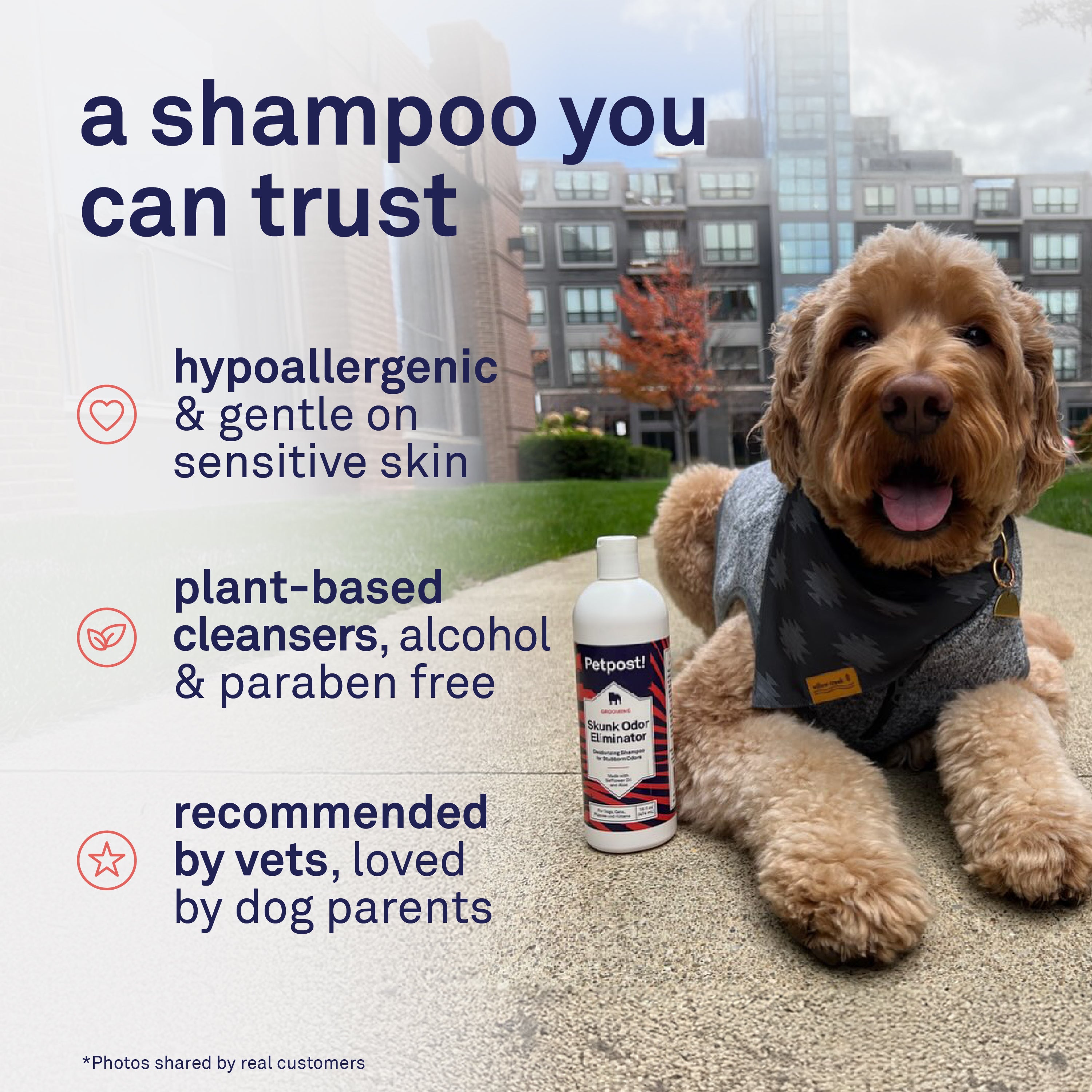 Petpost Skunk Odor Shampoo for Dogs & Cats - Natural Deodorizing Formula with Safflower Oil - Removes Skunk Spray, Eliminates Strong Odors - Gentle on Skin