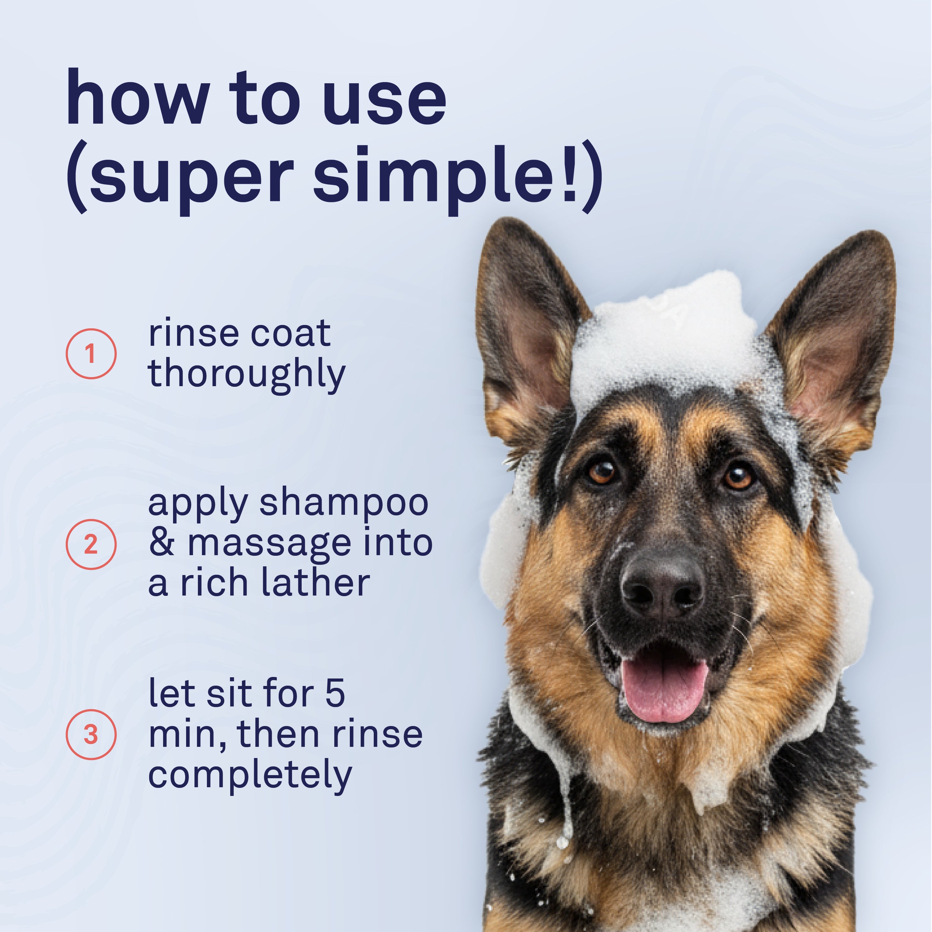 Petpost Skunk Odor Shampoo for Dogs & Cats - Natural Deodorizing Formula with Safflower Oil - Removes Skunk Spray, Eliminates Strong Odors - Gentle on Skin