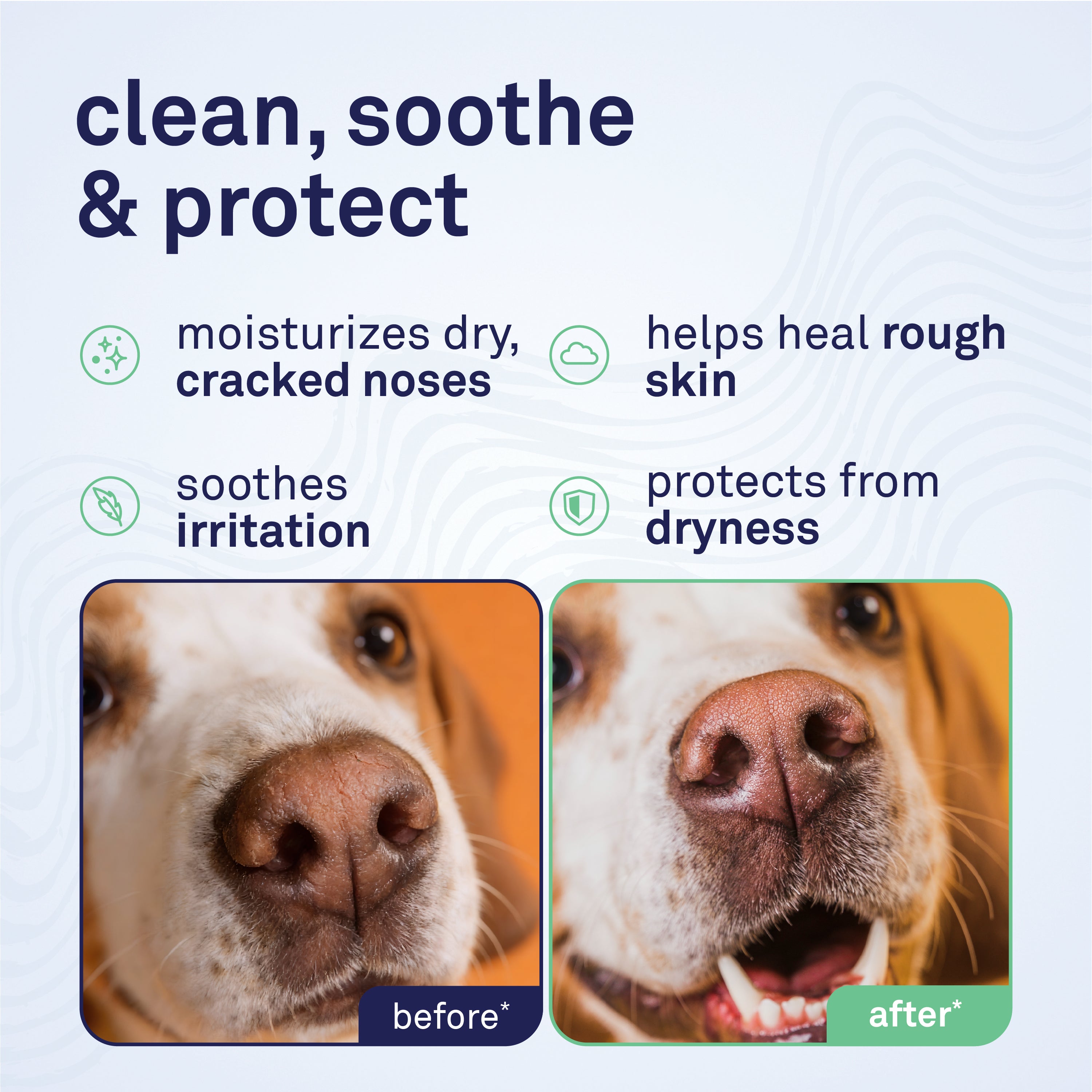 Petpost Snout Balm for Dogs - Organic Coconut Oil, Jojoba Oil & Shea Butter - Soothes Dry, Cracked, Chapped Noses - Easy Twist-Up Applicator - 0.64 oz