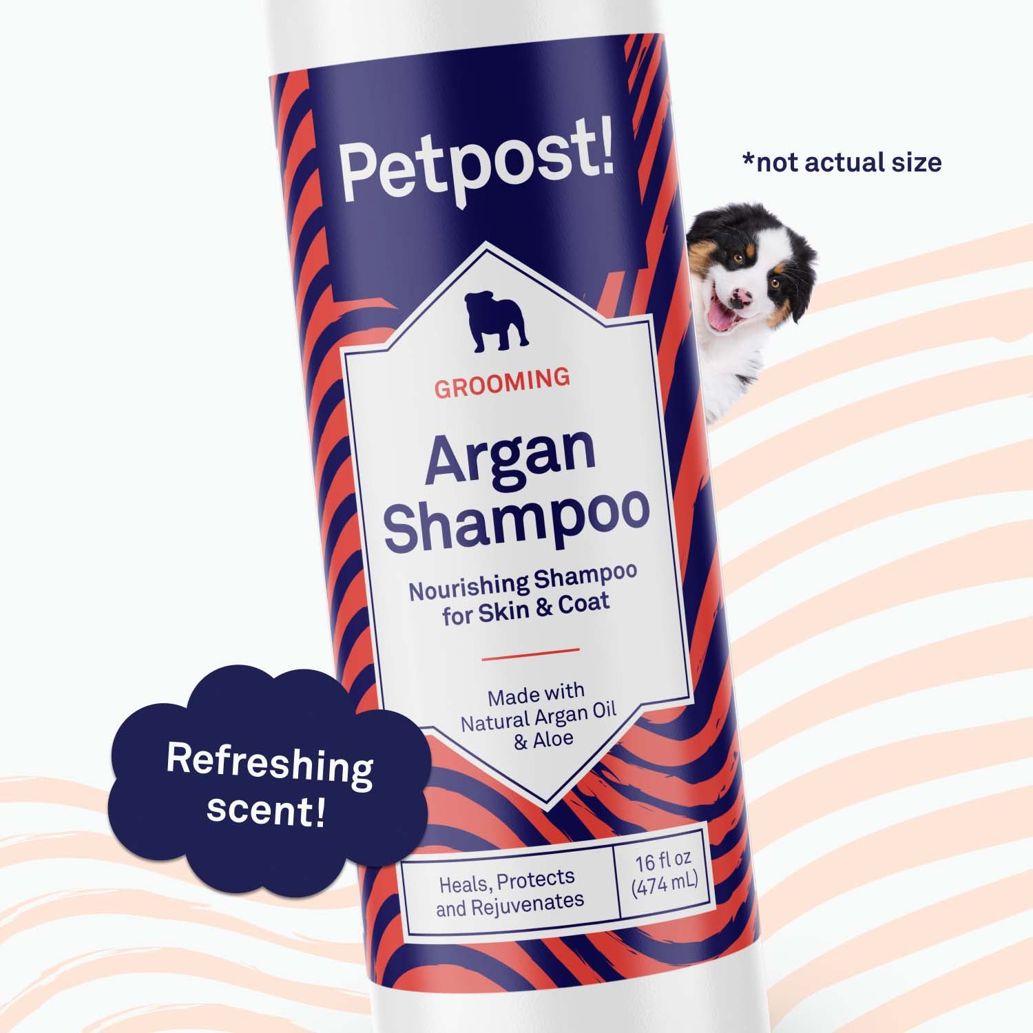 Argan Shampoo