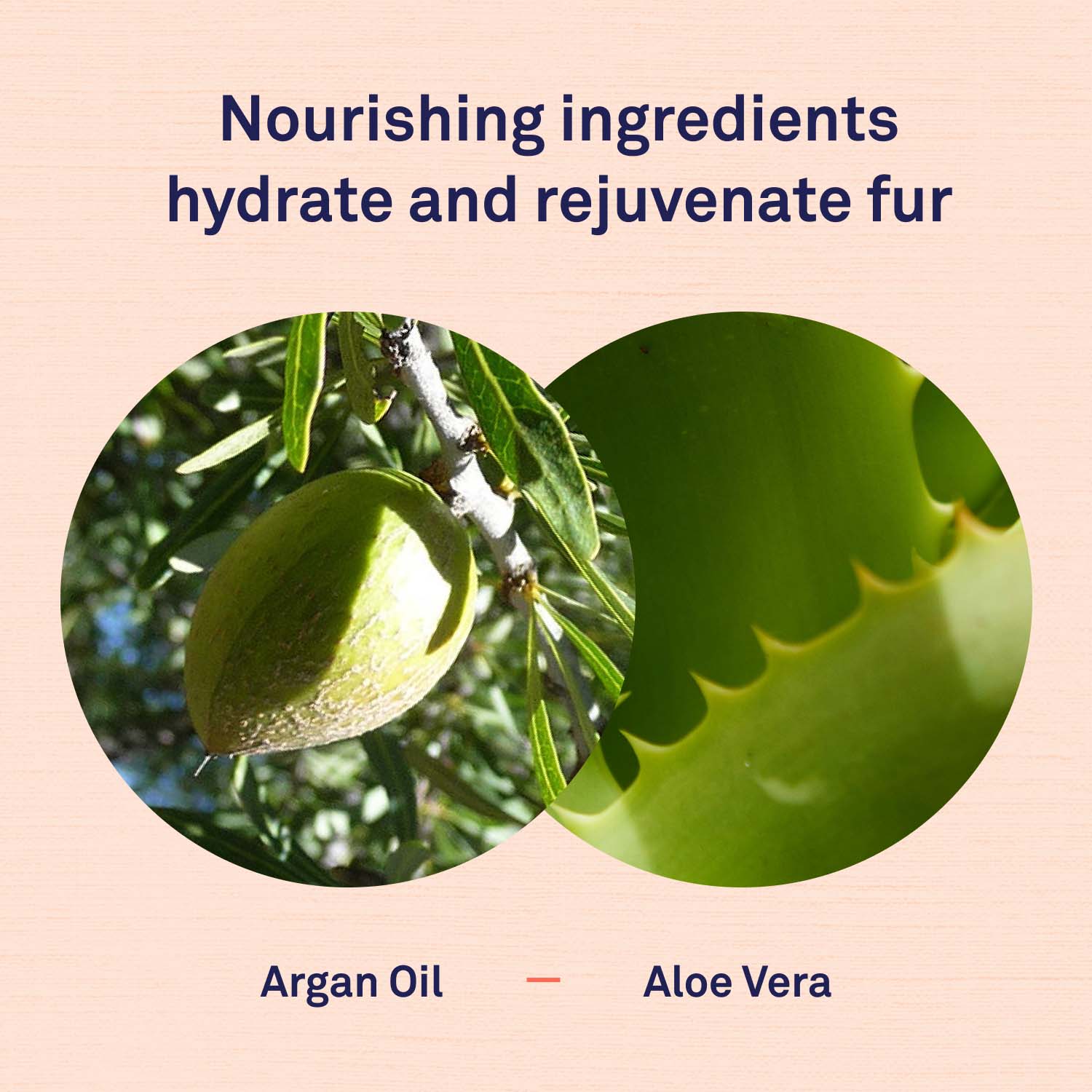 Argan Spray by Petpost for grooming dogs