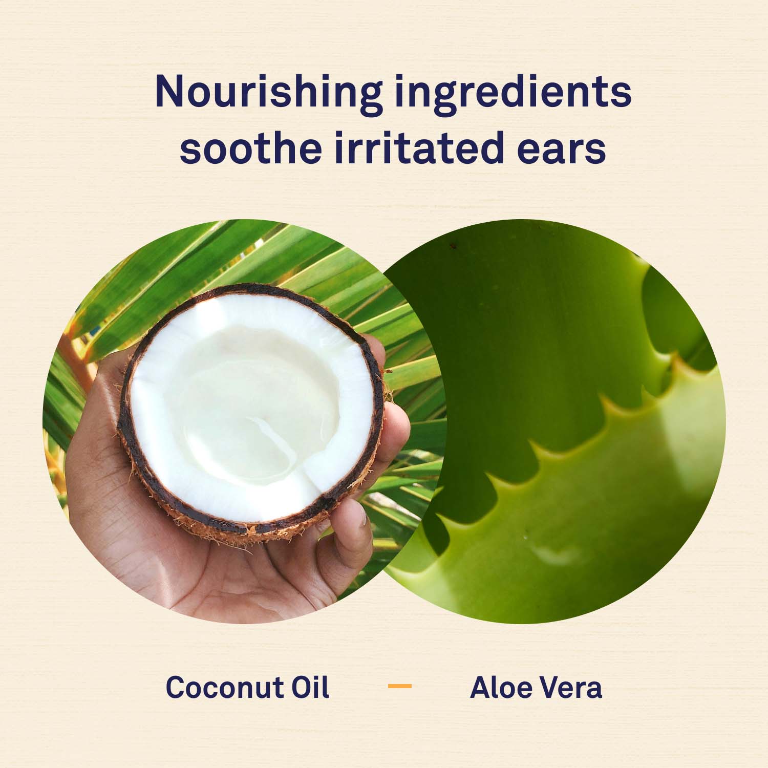 Cat Ear Cleaner by Petpost for grooming dogs