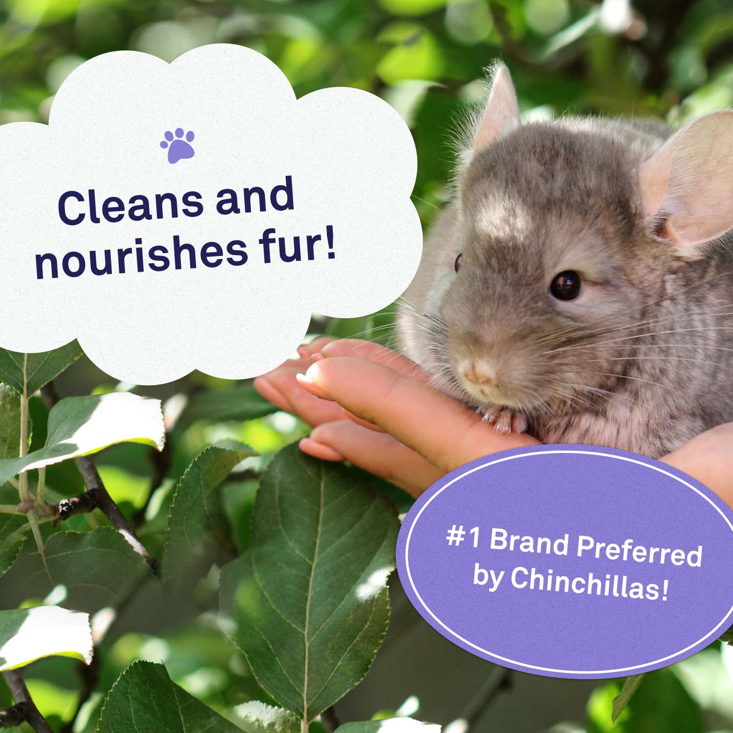 Small Animal Bath Dust by Petpost™ for grooming dogs