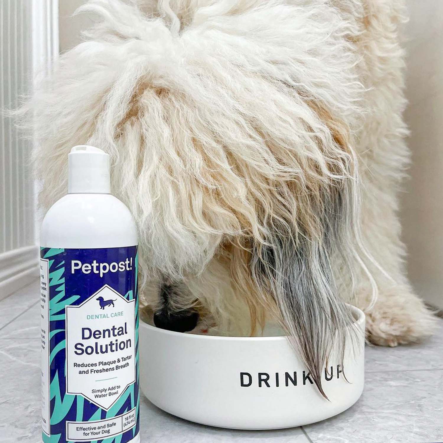 Dental Solution by Petpost for grooming dogs