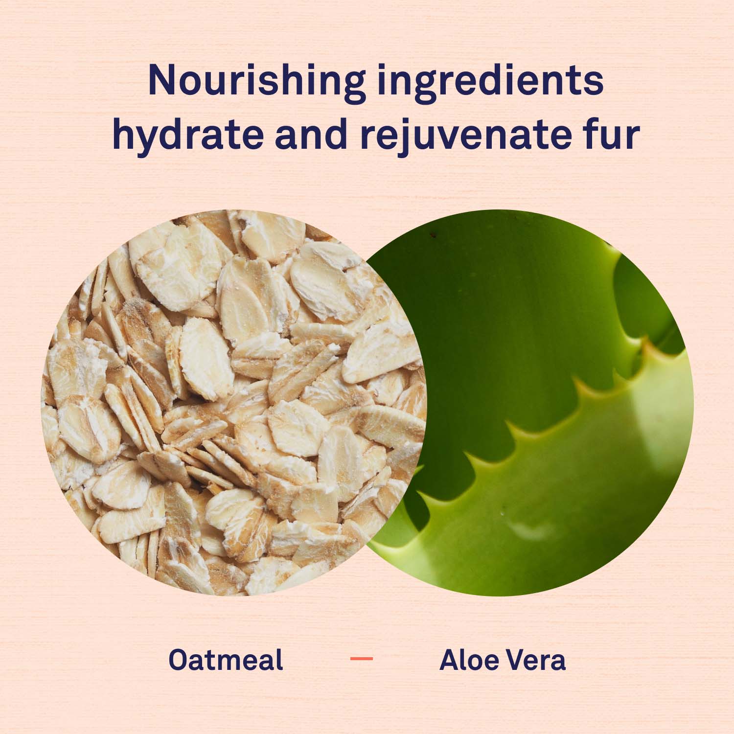 Detangling Spray by Petpost™ for grooming dogs