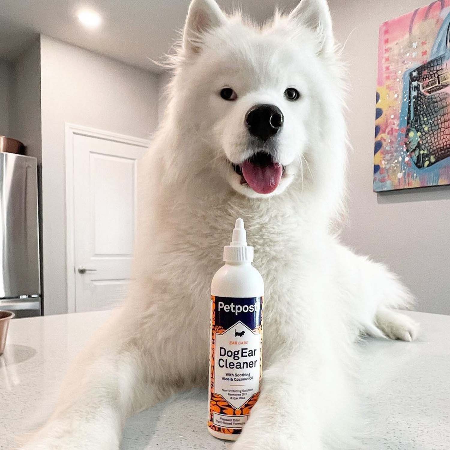 Dog Ear Cleaner by Petpost for grooming dogs