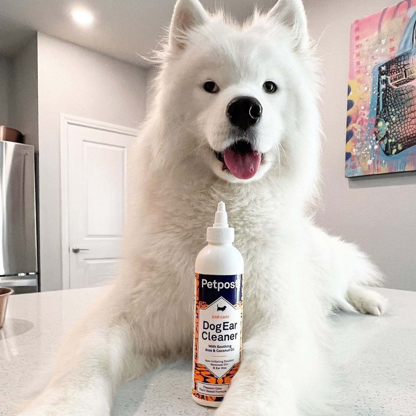 XL Dog Ear Wipes | Best Dog Ear Cleaning Solution | Petpost™