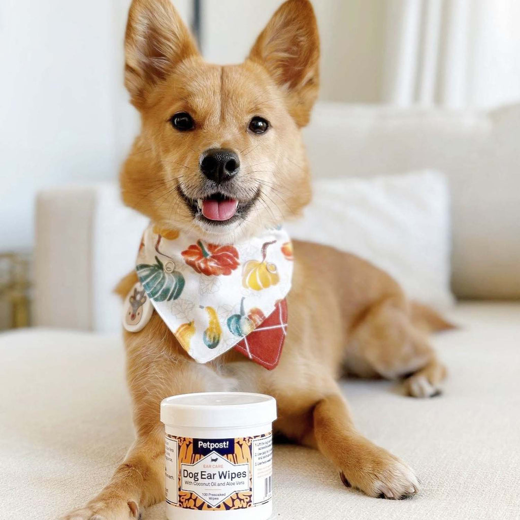 Curated visual reference: Curated Top Canine Ear Cleaning Products Gallery View 42