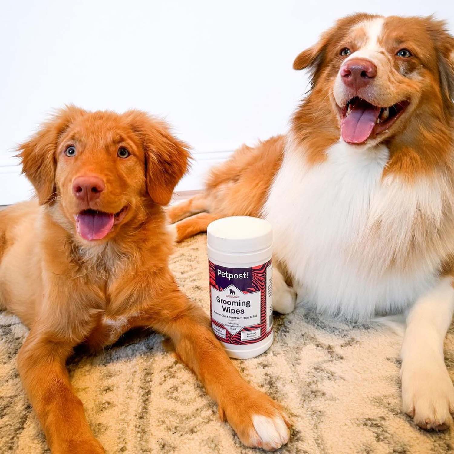 Grooming Wipes by Petpost for grooming dogs