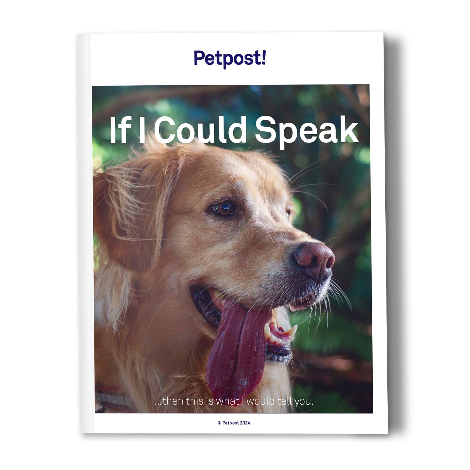 If I Could Speak - The Dog Ebook by Petpost for grooming dogs