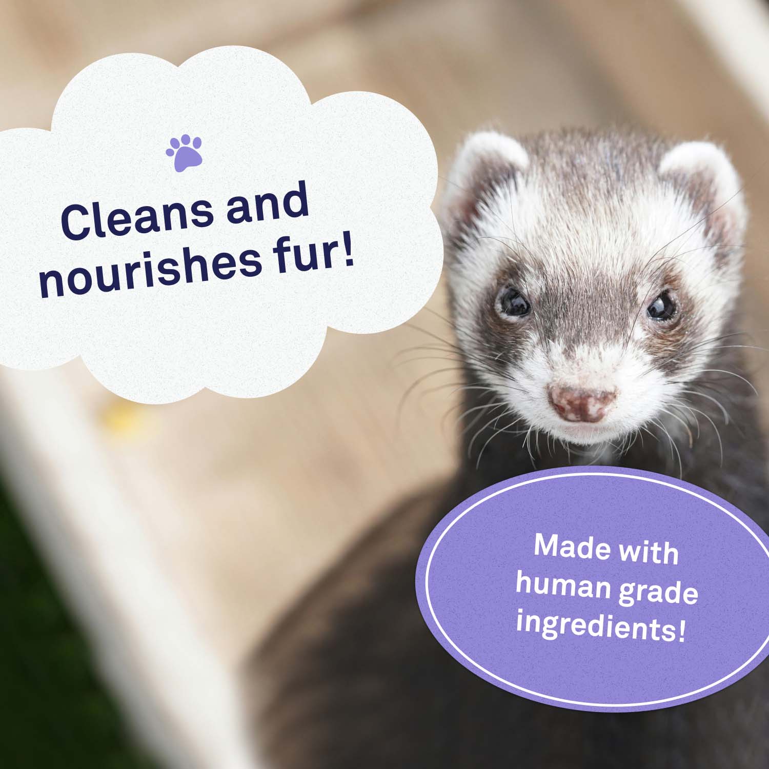 Ferret Shampoo by Petpost for grooming dogs