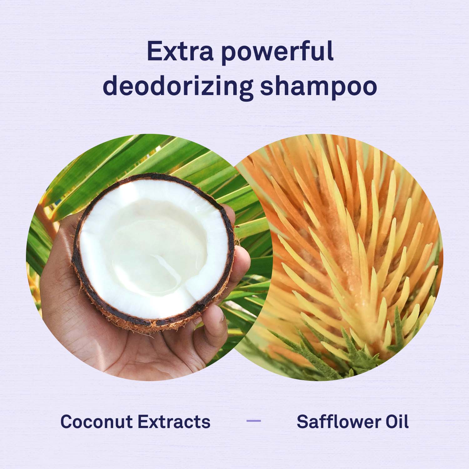 Ferret Shampoo by Petpost for grooming dogs