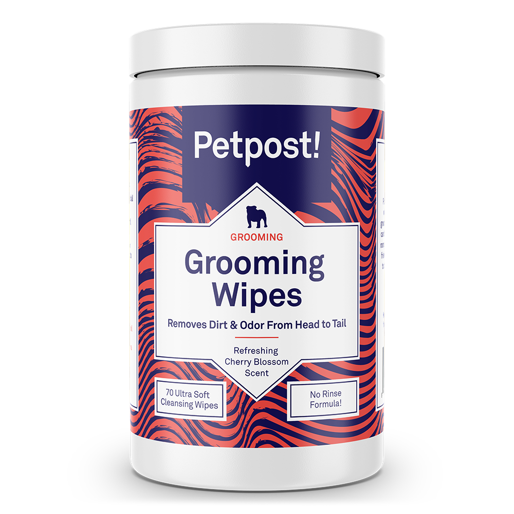 Bulldog Wrinkle Wipes Best Relief for Dogs with Sore Skin Petpost