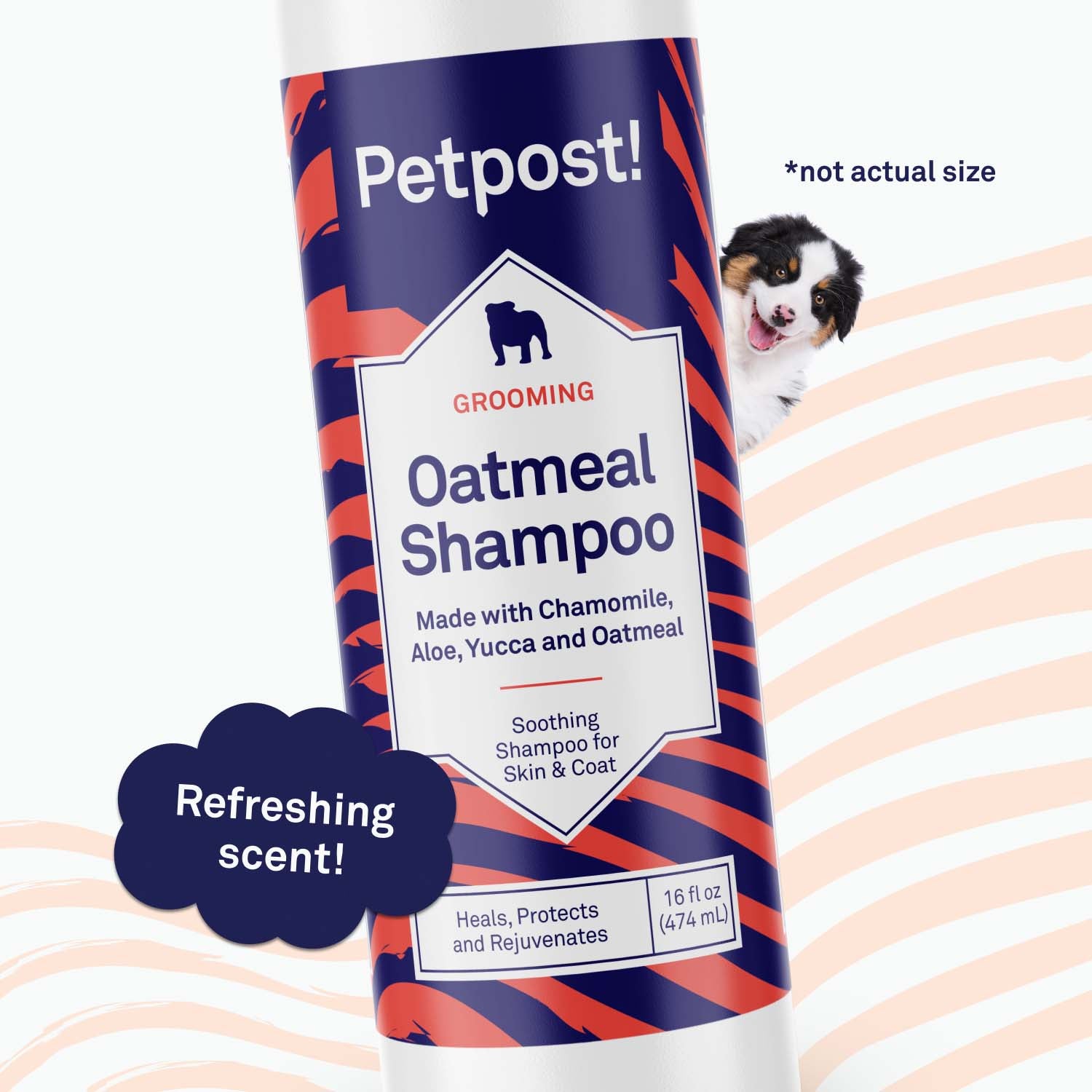 Oatmeal Shampoo by Petpost for grooming dogs