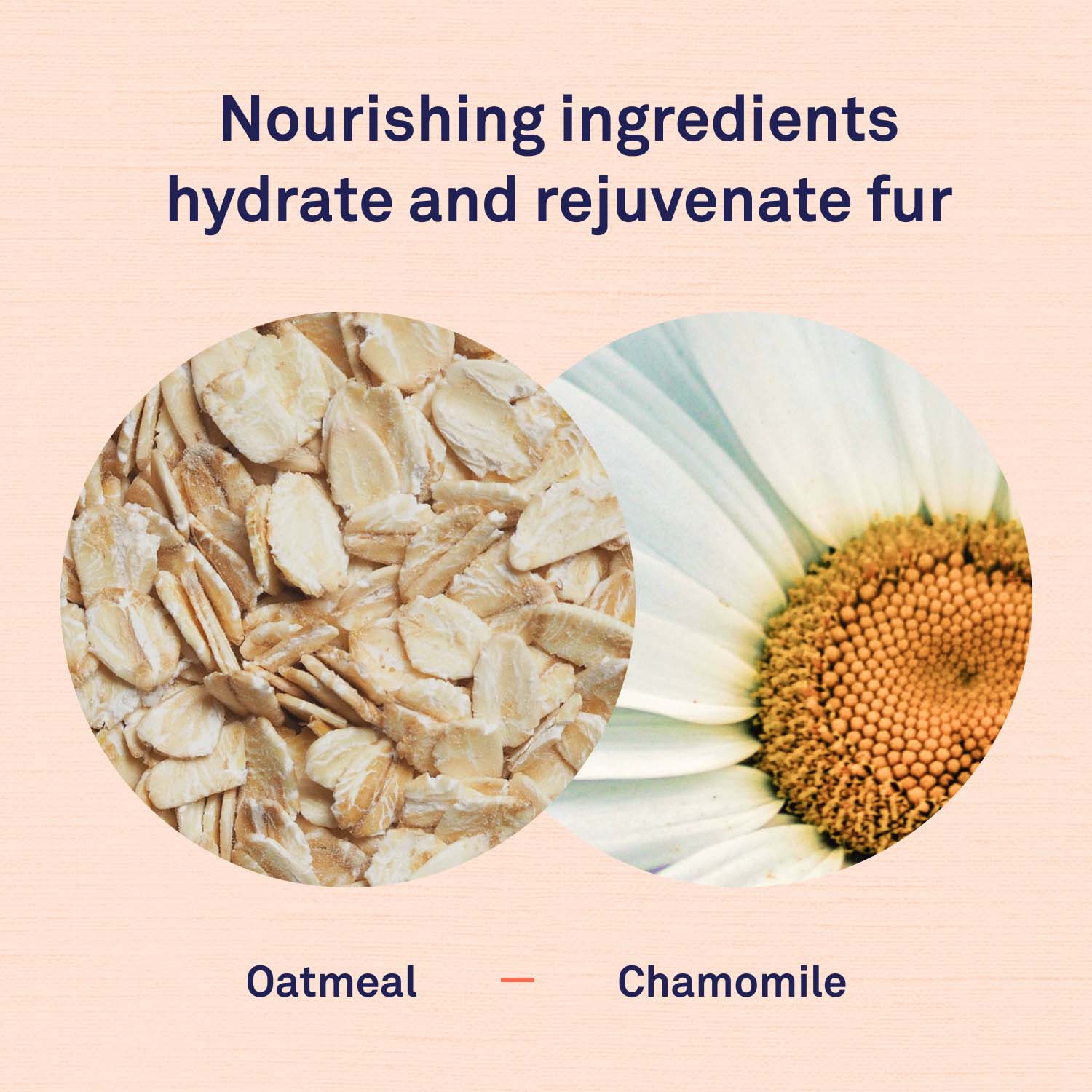 Oatmeal Shampoo by Petpost for grooming dogs