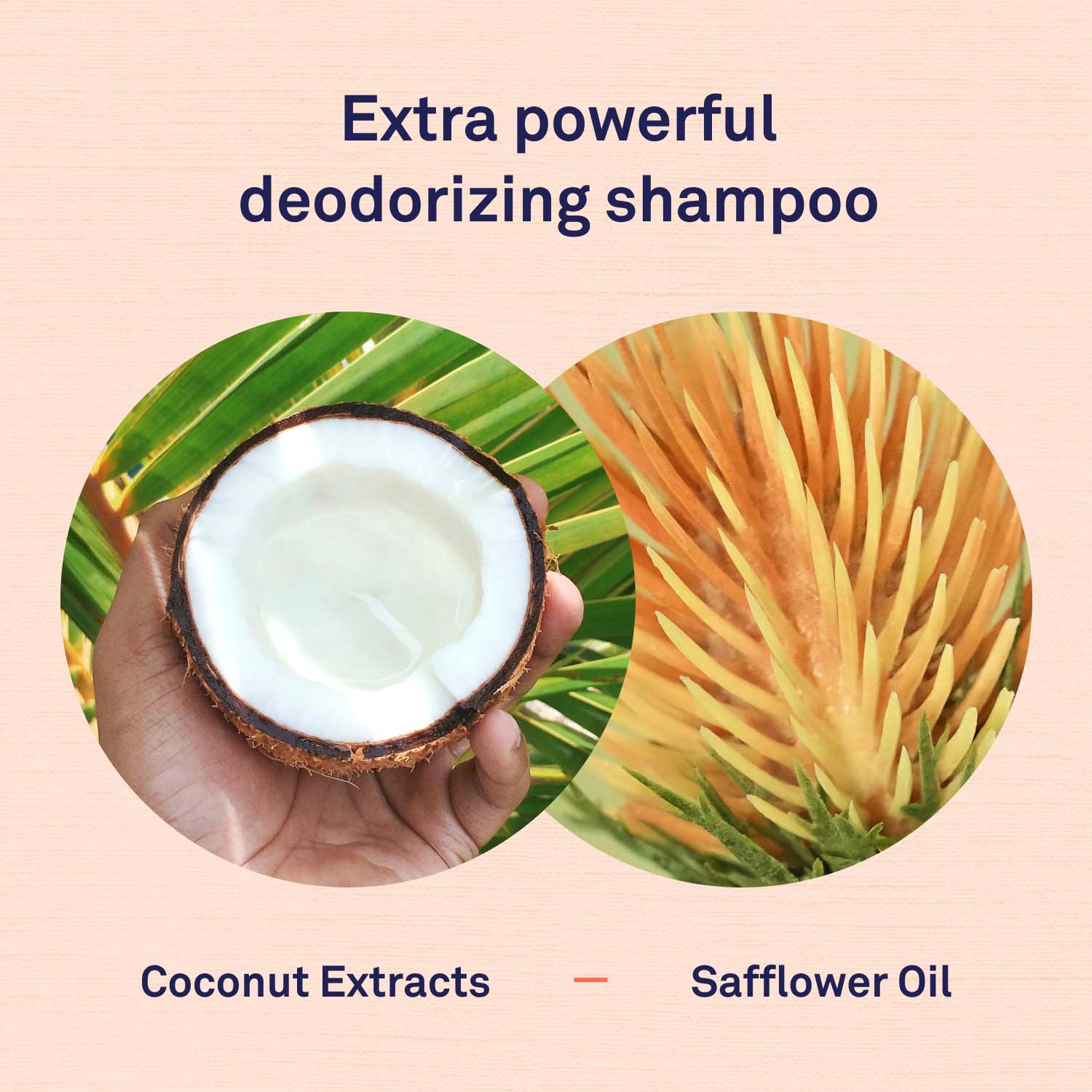 Skunk Odor Eliminator Shampoo by Petpost for grooming dogs