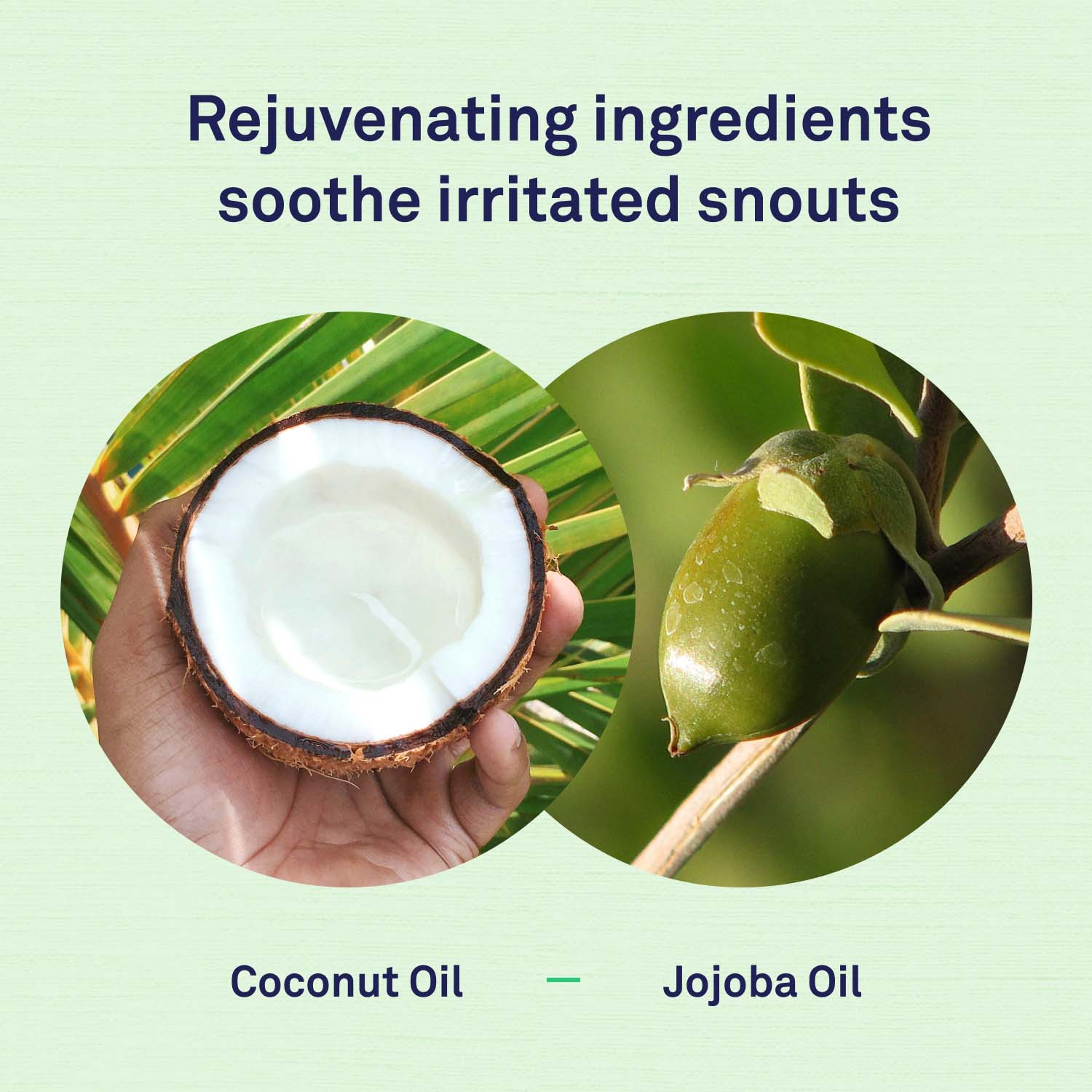 Snout Balm by Petpost for grooming dogs