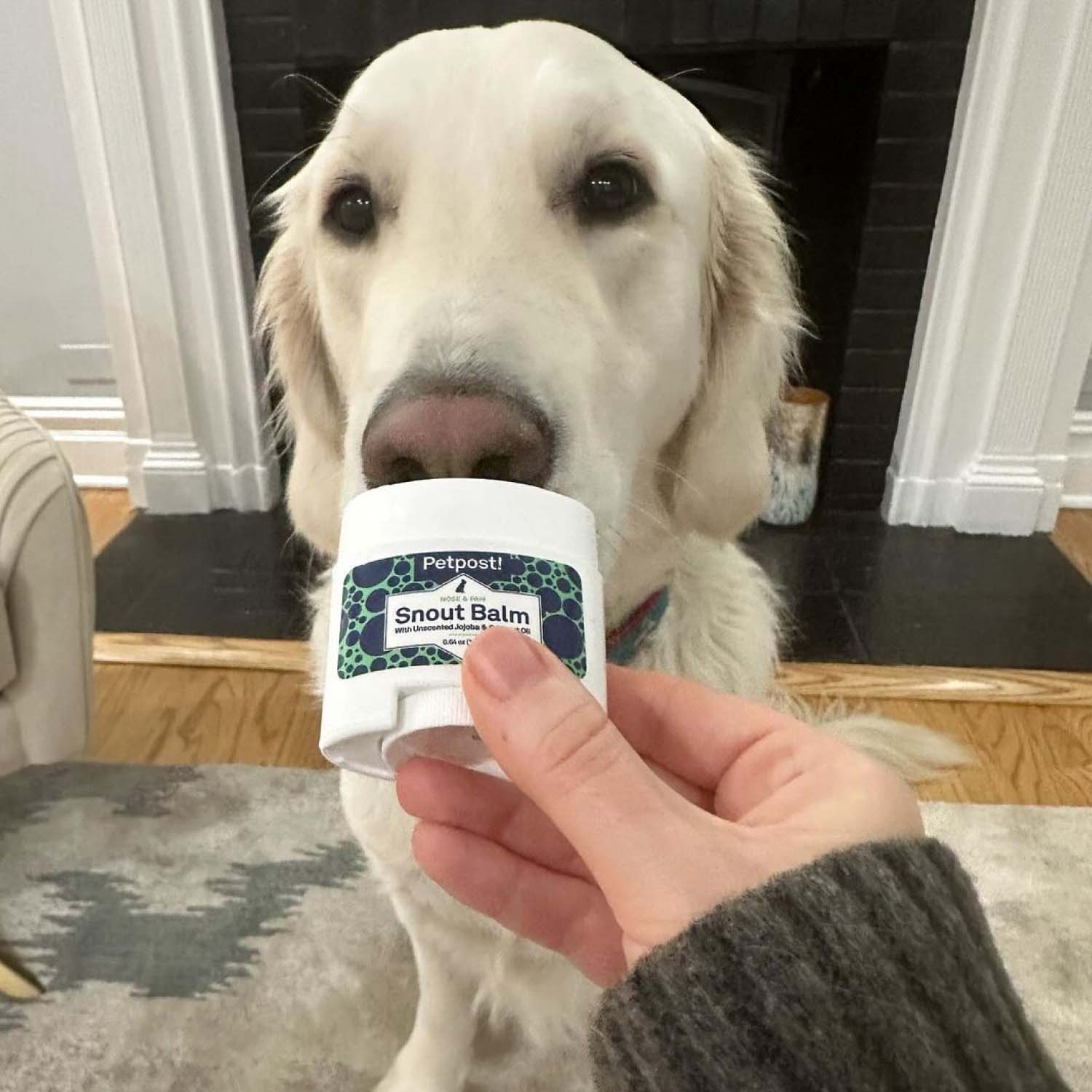 Snout Balm by Petpost for grooming dogs