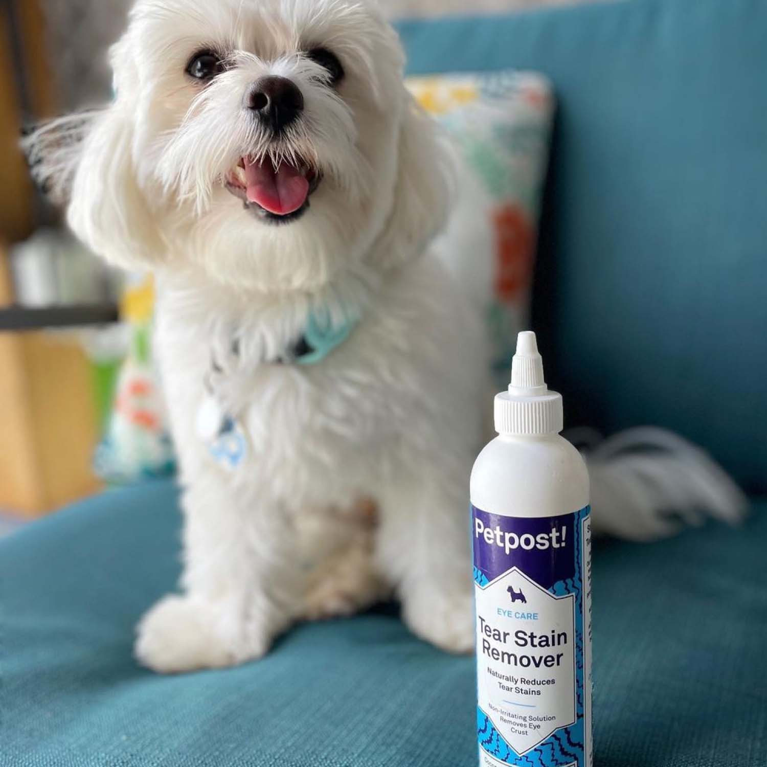 Tear Stain Remover by Petpost for grooming dogs