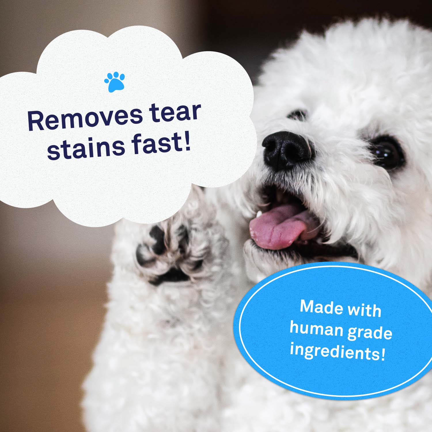 Tear Stain Remover Soft Chews for Dogs Tear Stain Supplement Petpost