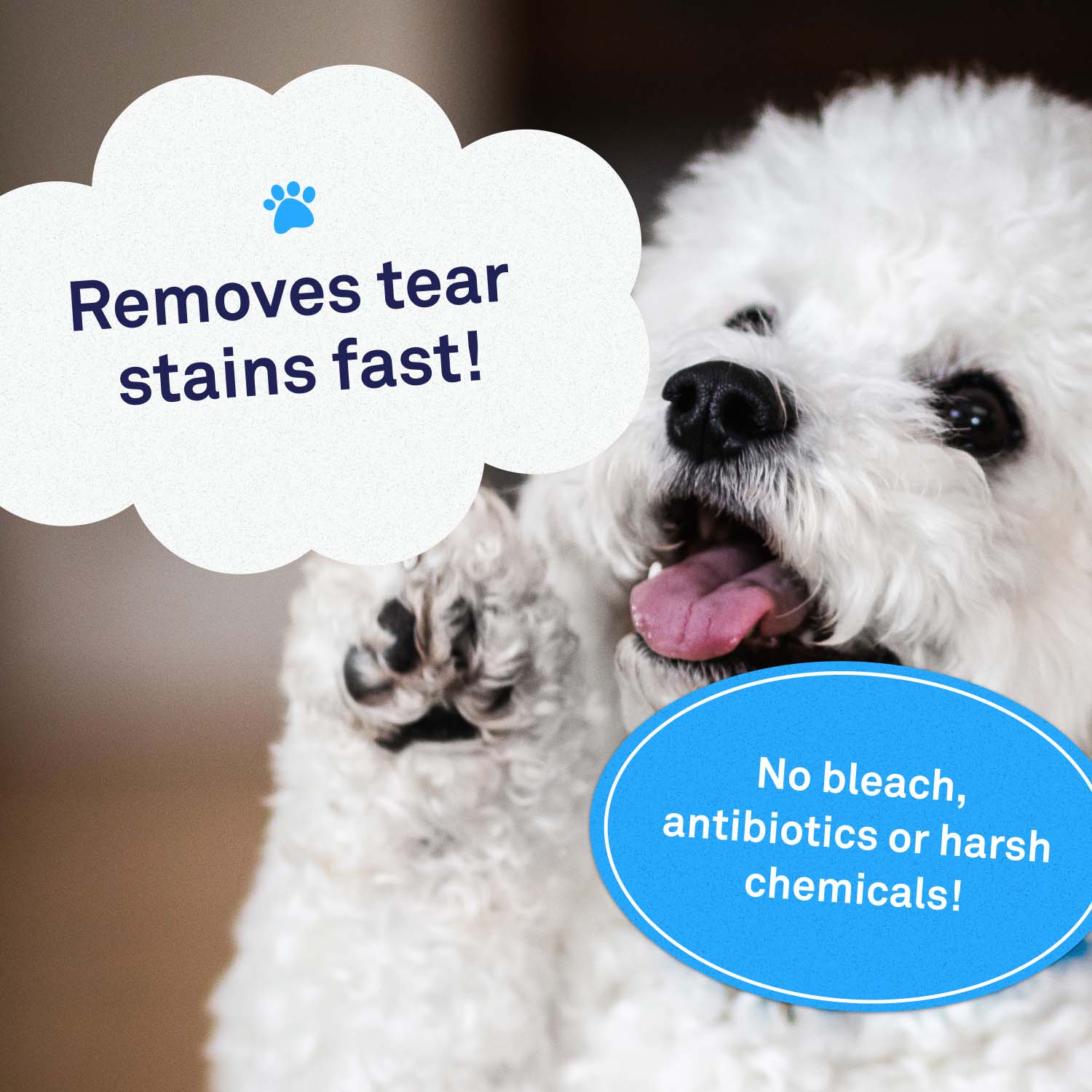 Bodhi Dog Remove Dog Tear Stains Hydrogen Peroxide Hydrogen