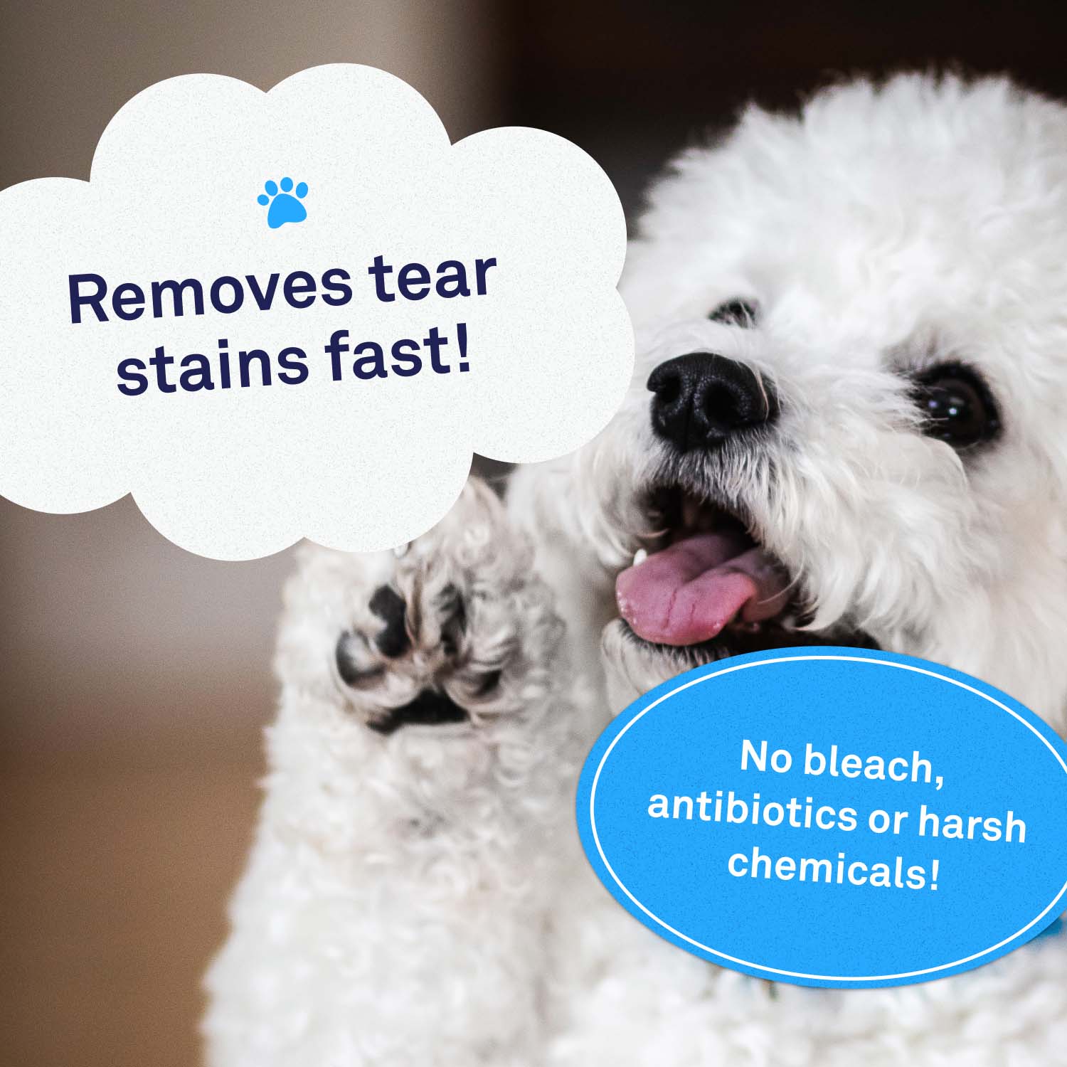 Tear Stain Wipes by Petpost for grooming dogs