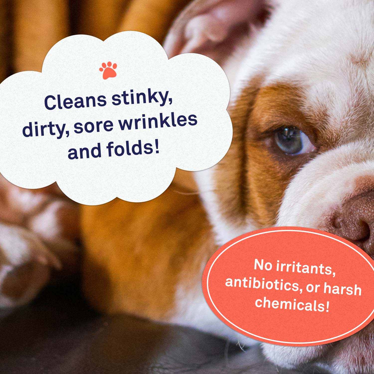 Wrinkle Wipes - Large by Petpost for grooming dogs